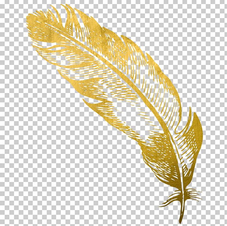 Feather Gold Quill Card Snobs PNG, Clipart, Animals, Card, Card Snobs, Child, Drawing Free PNG Download