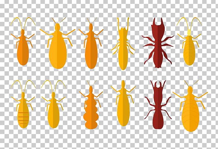 Insect Cricket PNG, Clipart, Adobe Illustrator, Bed, Bed Bug, Bed Bugs, Bugs Free PNG Download