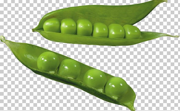 Pea Common Bean Silique PNG, Clipart, Bean, Butterfly Pea, Food, Fruit, Green Peas Free PNG Download