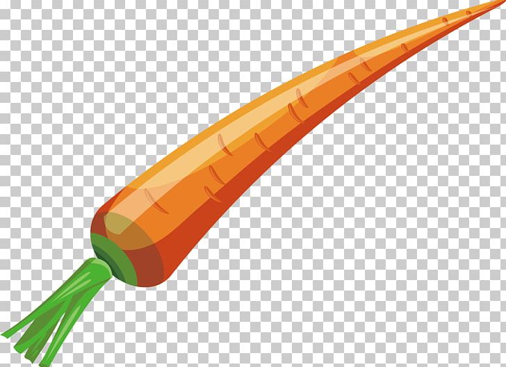 Angle PNG, Clipart, Angle, Bunch Of Carrots, Carrot, Carrot Cartoon, Carrot Juice Free PNG Download
