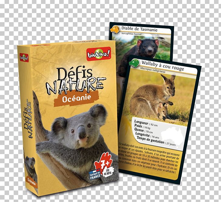 Bioviva Défis Nature Le Grand Jeu Board Game PNG, Clipart, Animal, Bioviva, Board Game, Card Game, Conservation Free PNG Download