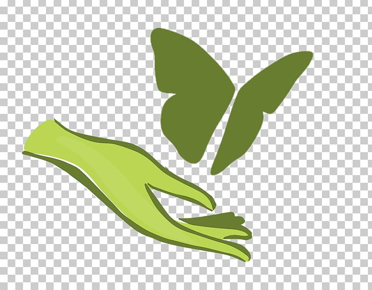 Butterfly The Heights PNG, Clipart, Addiction, Butterfly, Capitol Heights, Grass, Green Free PNG Download