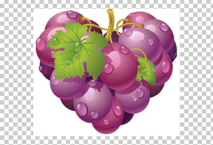 Common Grape Vine Graphics PNG, Clipart, Berry, Bunch Of Grapes, Common Grape Vine, Food, Fruit Free PNG Download