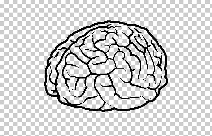 Drawing Human Brain Human Body PNG, Clipart, Anatomy, Area, Black And White, Brain, Cerebro Free PNG Download