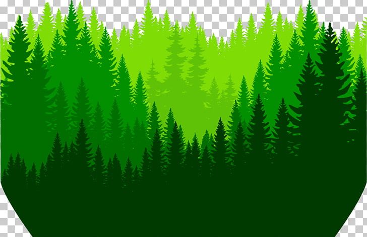Euclidean Icon PNG, Clipart, Biome, Computer Wallpaper, Forest, Forest Animals, Grass Free PNG Download