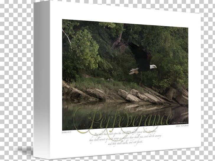 Frames Gallery Wrap Stock Photography Canvas PNG, Clipart, Art, Canvas, Gallery Wrap, Nature, Perseverance Free PNG Download