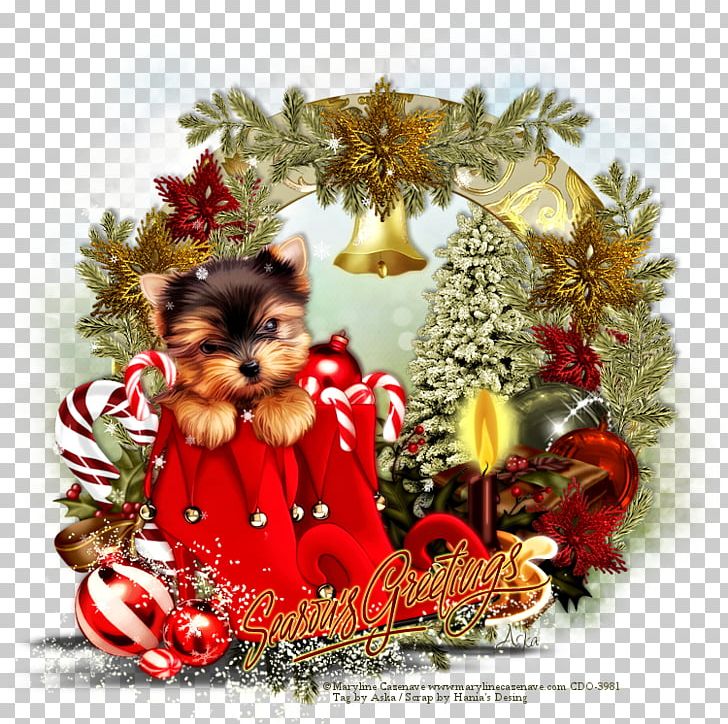 Yorkshire Terrier LiveInternet Christmas Ornament Puppy PNG, Clipart, Breed, Carnivoran, Christmas, Christmas Decoration, Christmas Ornament Free PNG Download