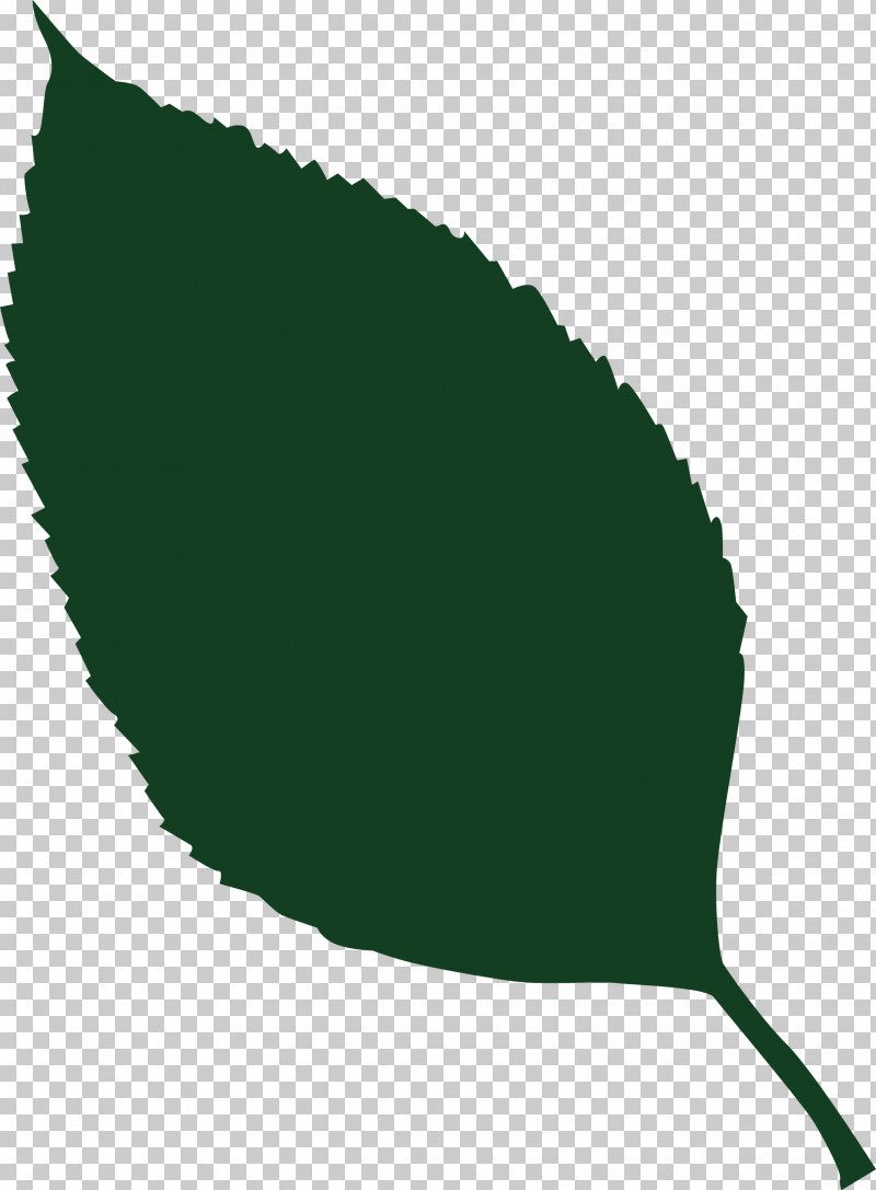 Leaf PNG, Clipart, Biology, Fish, Green, Leaf, Meter Free PNG Download