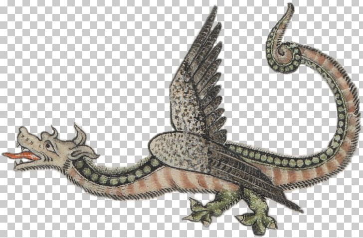 Middle Ages Dragon Medieval Fantasy Medieval University Chivalry PNG, Clipart, Animal, Chivalry, Dragon, Fantasy, Fauna Free PNG Download