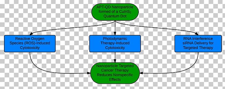 Treatment Of Cancer Targeted Therapy Nanoparticle PNG, Clipart, Angle, Aptamer, Area, Brand, Cancer Free PNG Download