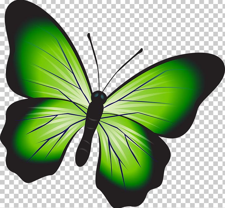 Christmas Butterfly Drawing PNG, Clipart, Arthropod, Brush Footed Butterfly, Butterfly, Download, Drawing Free PNG Download