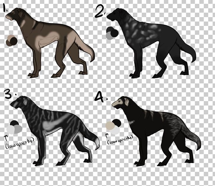 Dog Breed Cat Fauna Tail PNG, Clipart, Animals, Big Cat, Big Cats, Black And White, Breed Free PNG Download