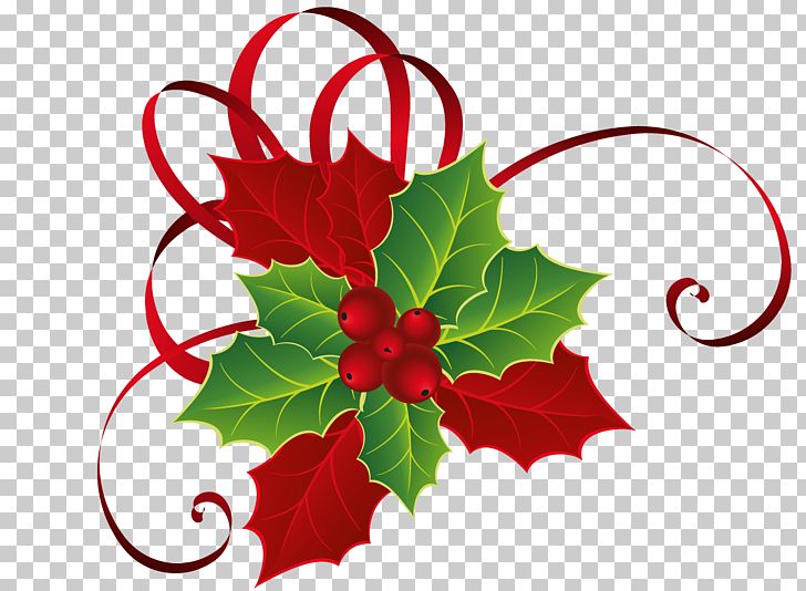 Mistletoe Christmas PNG, Clipart, Aquifoliaceae, Aquifoliales, Branch, Christmas, Christmas Clipart Free PNG Download