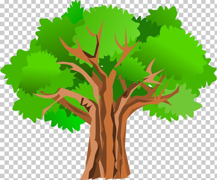 Tree Giant Sequoia Oak PNG, Clipart, Adobe Illustrator, Blog, Branch, Cartoon, Clip Art Free PNG Download