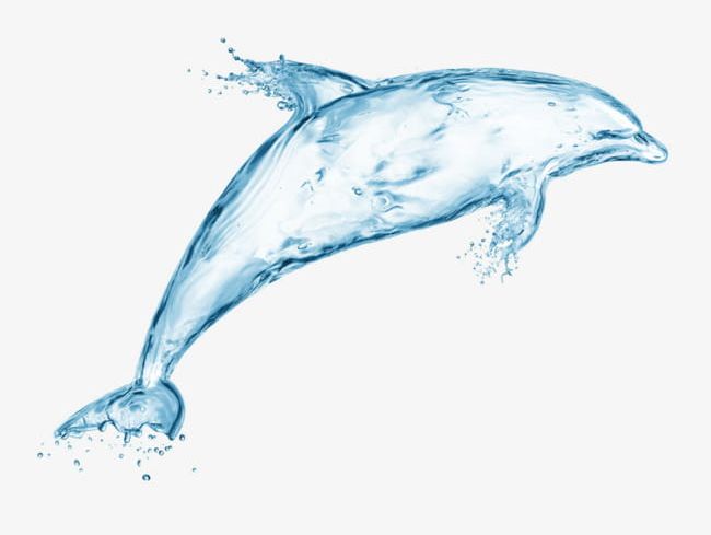 Water Dolphins PNG, Clipart, Creative, Creative Water, Dolphin, Dolphins Clipart, Water Free PNG Download