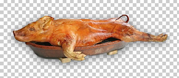 Suckling Pig Pig Roast Barbecue Pig's Ear PNG, Clipart,  Free PNG Download