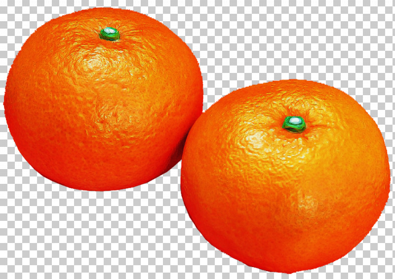 Orange PNG, Clipart, Bitter Orange, Citrus, Fruit, Mandarin Orange, Orange Free PNG Download