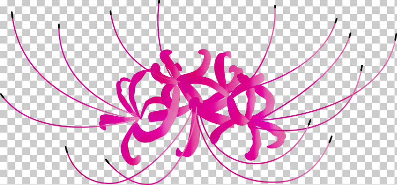 Pink Line Magenta Plant PNG, Clipart, Flower, Hurricane Lily, Line, Magenta, Paint Free PNG Download