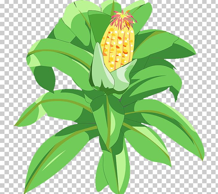 Maize Pineapple PNG, Clipart, Commodity, Corn, Corn Cartoon, Corn Flakes, Corn Juice Free PNG Download
