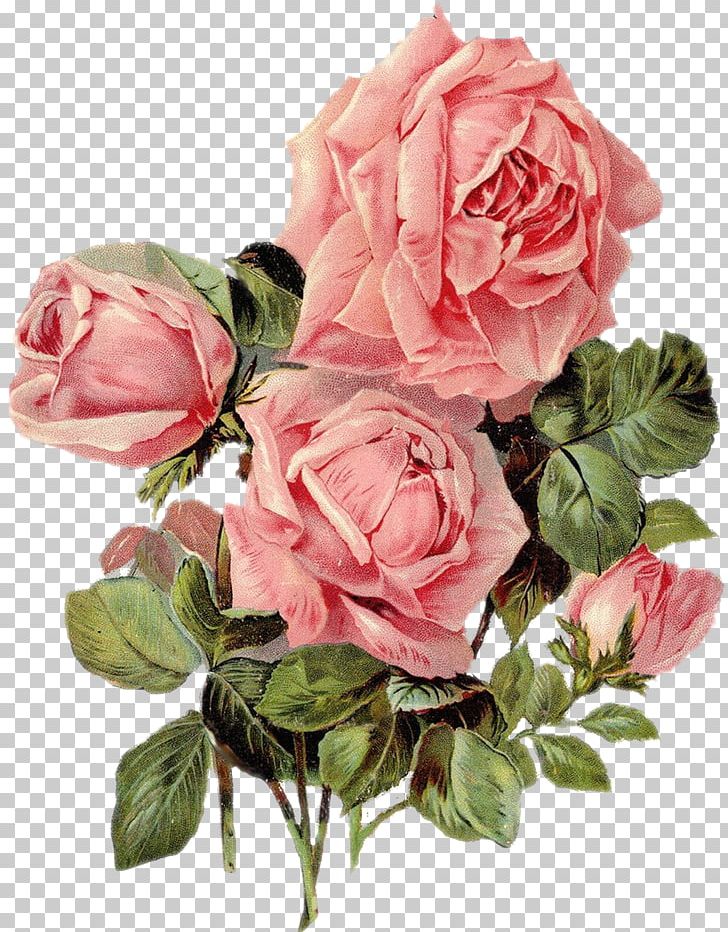 Paper Rose Printing Flower Art PNG, Clipart, Artificial Flower, Catalog, Cut Flowers, Floral Design, Floribunda Free PNG Download