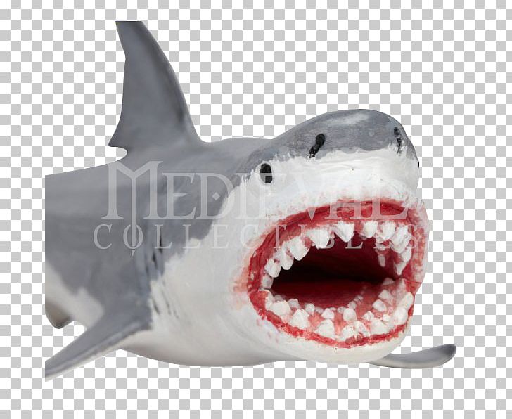 Tiger Shark Megalodon Great White Shark Cartilaginous Fishes PNG, Clipart, Animals, Carcharhiniformes, Cartilaginous Fish, Cartilaginous Fishes, Extinction Free PNG Download