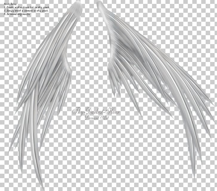 Wings Of Madness Black And White Photography PNG, Clipart, Artwork, Beak, Bird, Black And White, Darkest Hour Free PNG Download