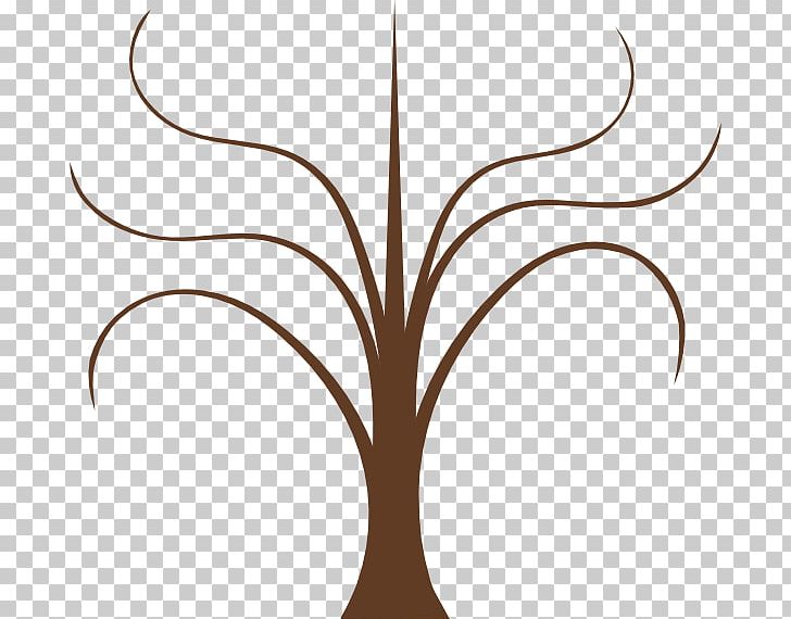 Branch Open Tree PNG, Clipart, Branch, Christmas Tree, Download, Flower, Leaf Free PNG Download
