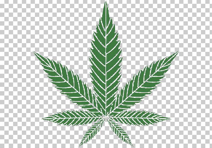 Cannabis Hemp Leaf PNG, Clipart, Cannabis, Cannabis Sativa, Can Stock Photo, Computer Icons, Hemp Free PNG Download