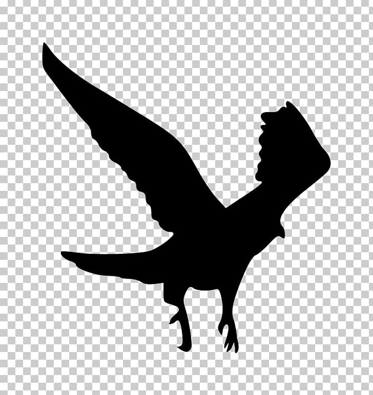 Silhouette Eagle PNG, Clipart, Art, Beak, Bird, Bird Of Prey, Black And White Free PNG Download