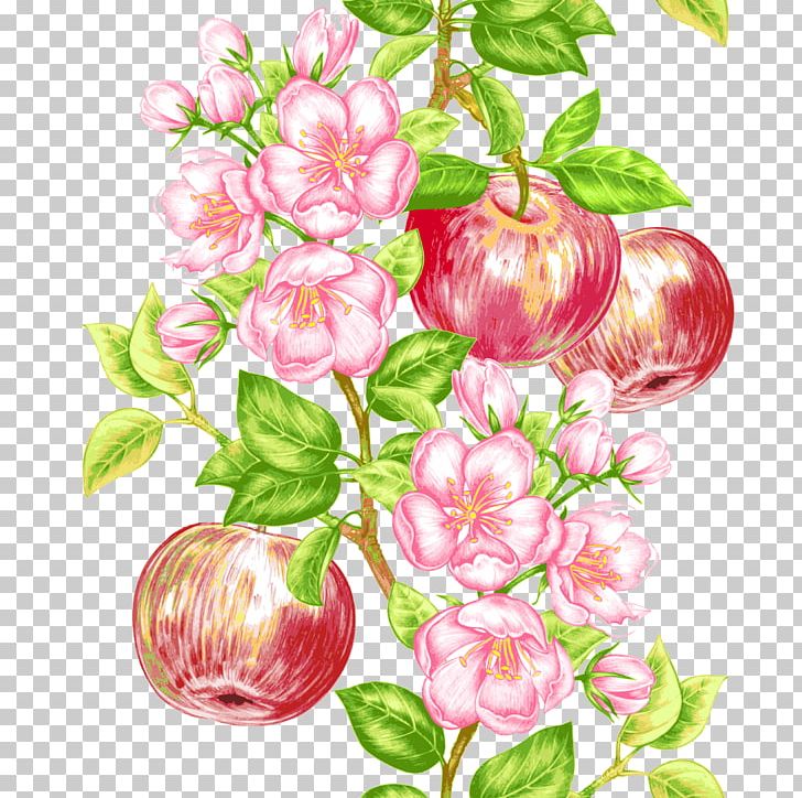 Apple Fruit Tree Icon PNG, Clipart, Apple, Apple Tree, Blossom, Branch, Computer Icons Free PNG Download