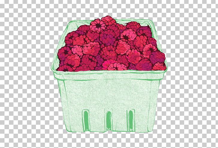 Drawing Raspberry Fruit Lemonade PNG, Clipart, Blackberry, Cut Flowers, Desktop Wallpaper, Drawing, Figure Drawing Free PNG Download