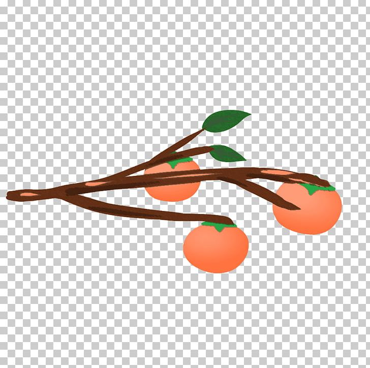 Japanese Persimmon Fruit Illustration Graphics Common Persimmon PNG, Clipart, Branch, Common Persimmon, Credit, Fruit, Japanese Persimmon Free PNG Download