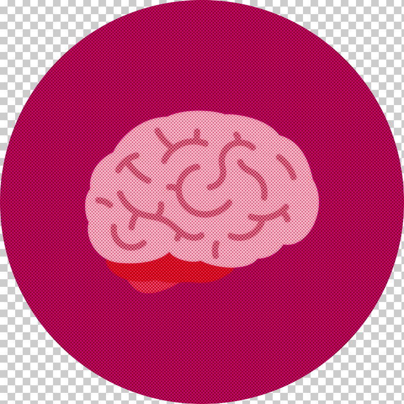 Brain PNG, Clipart,  Free PNG Download