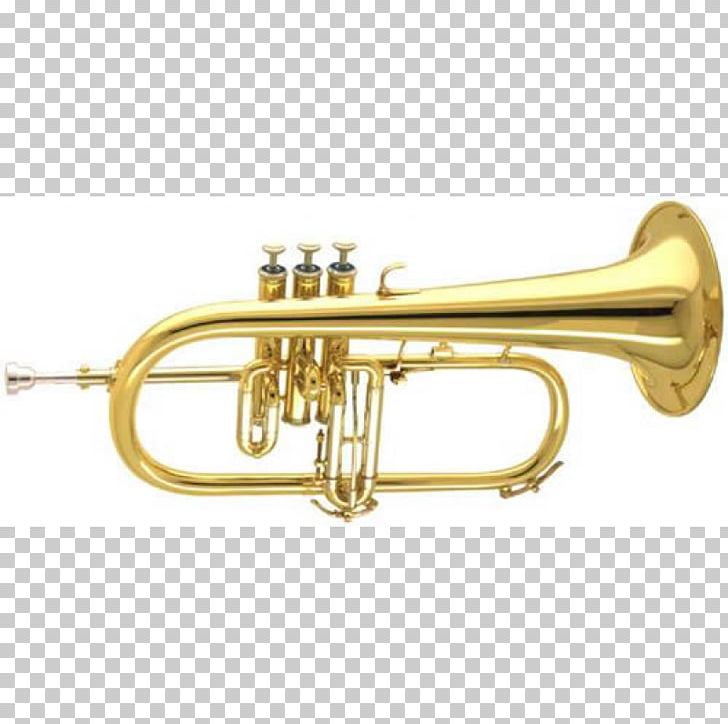 Cornet Flugelhorn Bugle Trumpet Mellophone PNG, Clipart, Afh, Alto Horn, Amati, Brass, Brass Instrument Free PNG Download