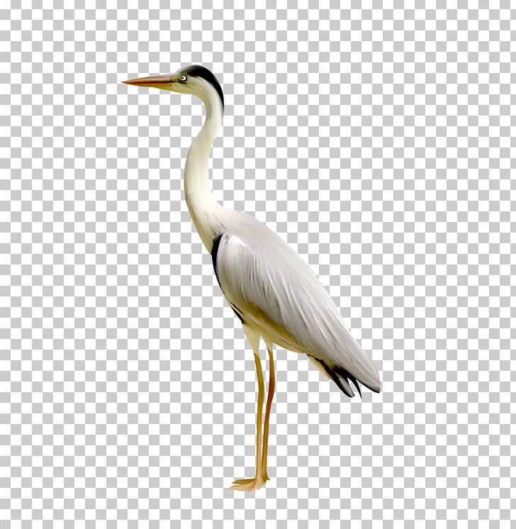Plastic Toys Simulation Red-crowned Crane PNG, Clipart, Animal, Beak, Bionic, Bird, Ciconiiformes Free PNG Download