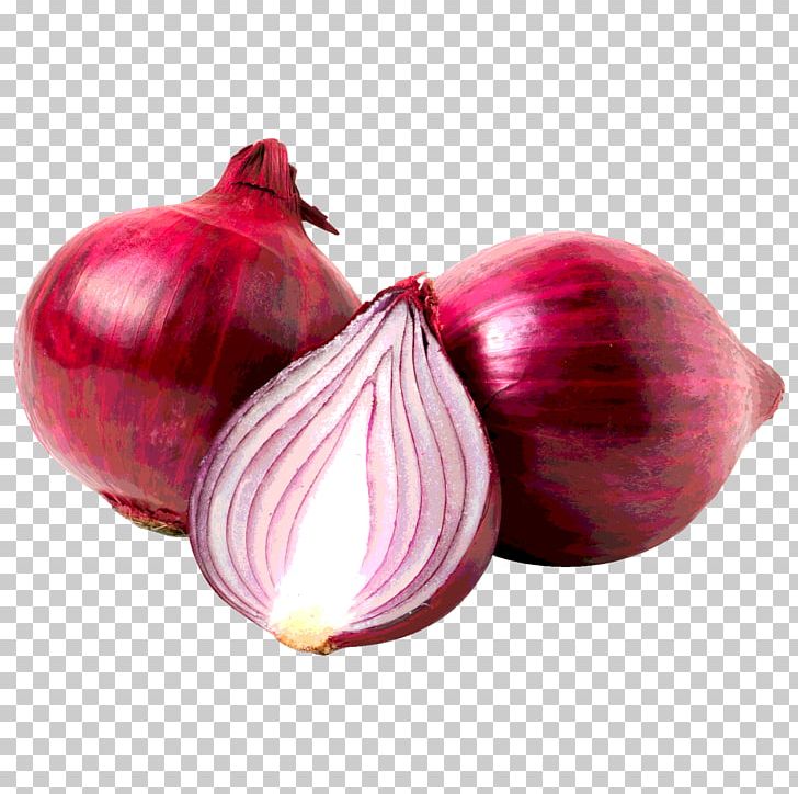 Red Onion White Onion Vegetable Garlic PNG, Clipart, Allicin, Alliin, Bell Pepper, Capsicum, Dulce Free PNG Download