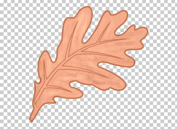 Finger Leaf PNG, Clipart, Feuille, Finger, Hand, Leaf, Tree Free PNG Download