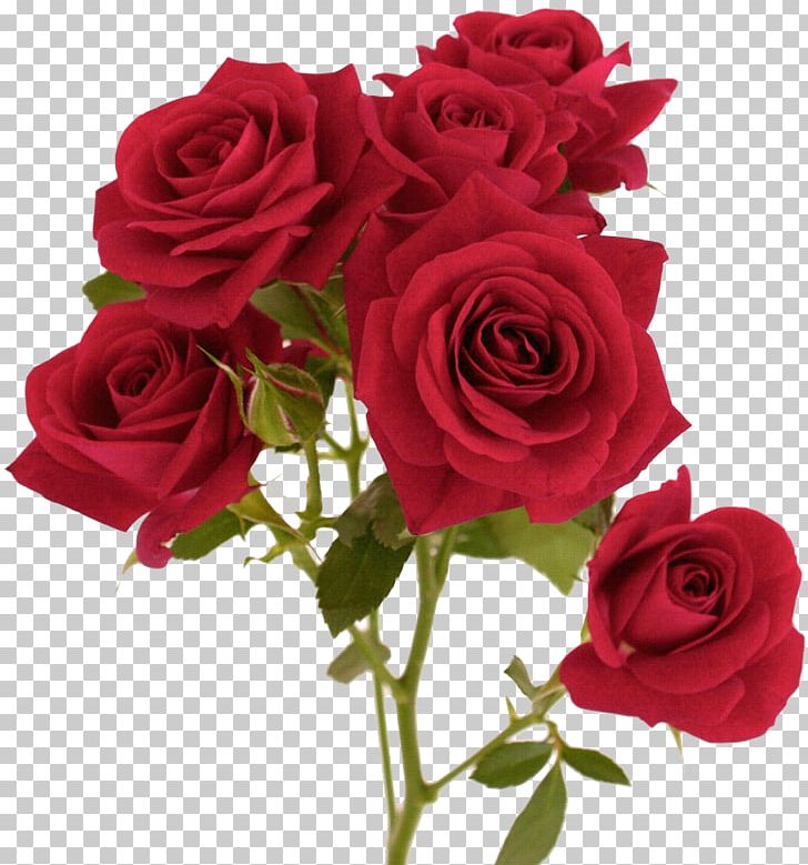 Flower Garden Roses Red PNG, Clipart, Artificial Flower, Blue, Color, Cut Flowers, Floral Design Free PNG Download