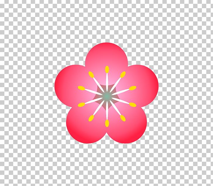 Plum Blossom Cherry Blossom PNG, Clipart, Blossom, Can Stock Photo, Cherry, Cherry Blossom, Circle Free PNG Download