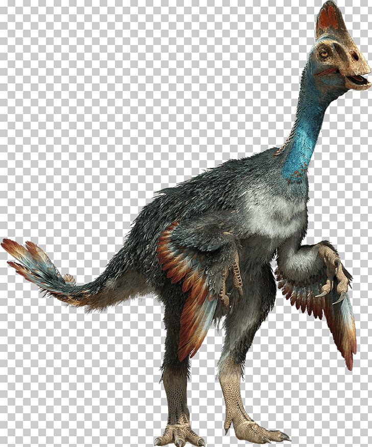 Velociraptor Chirostenotes Baryonyx Gorgosaurus Nomingia PNG, Clipart, Aladar, Baryonyx, Chirostenotes, Dinosaur, Fantasy Free PNG Download