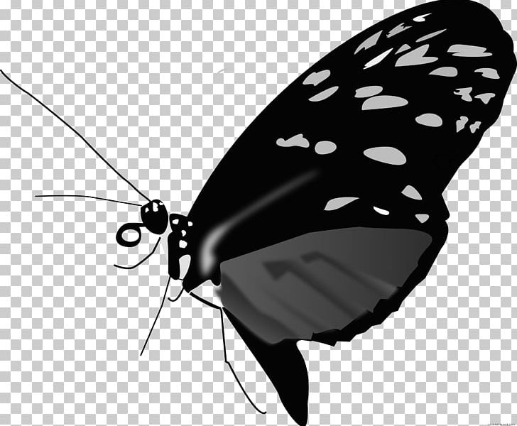 Monarch Butterfly Computer Icons PNG, Clipart, Animal, Arthropod, Black And White, Black White, Brush Footed Butterfly Free PNG Download