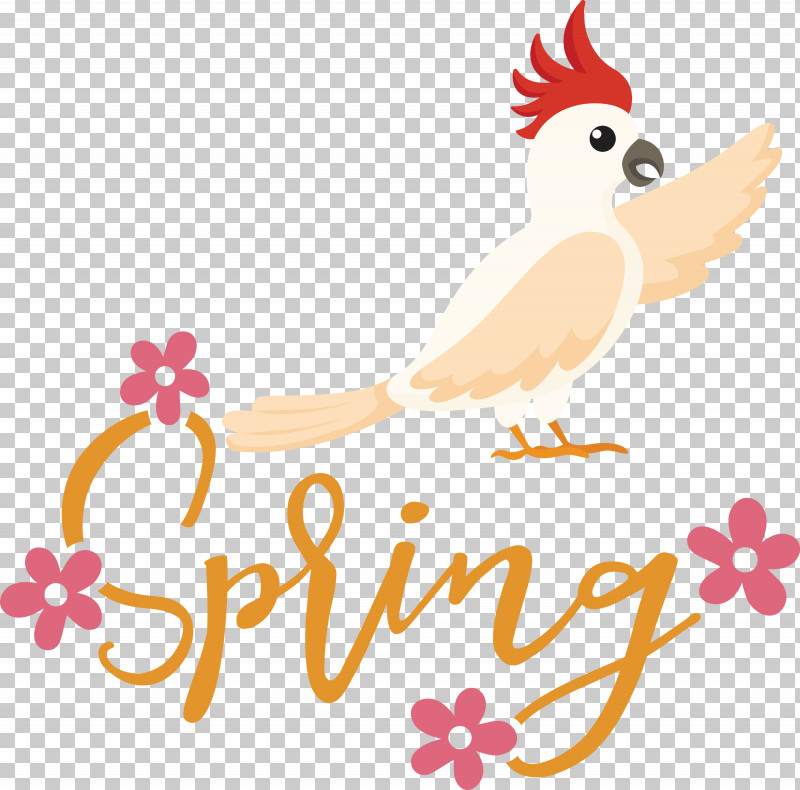 Spring Bird PNG, Clipart, Beak, Bird, Birds, Cartoon, Chicken Free PNG Download