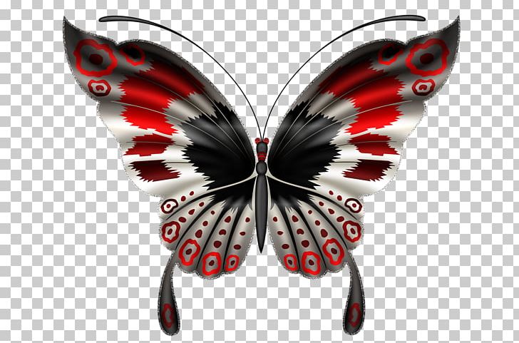 Butterfly PNG, Clipart, 2018, Arthropod, Brush Footed Butterfly, Butterflies, Butterflies And Moths Free PNG Download