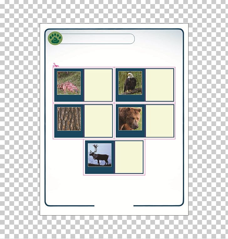 Frames Square Meter Pattern PNG, Clipart, Area, Childhood Memory, Line, Meter, Picture Frame Free PNG Download