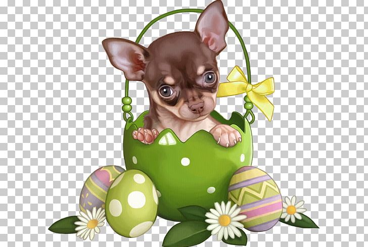 Puppy Bulldog Animal Easter Bunny Easter Egg PNG, Clipart, Animal, Bulldog, Carnivoran, Chihuahua, Christmas Free PNG Download