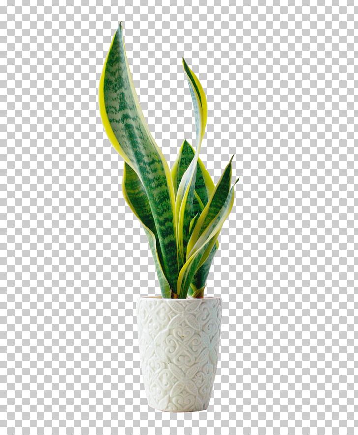 Bonsai Flowerpot Template PNG, Clipart, Adobe Illustrator, Background Green, Bonsai, Encapsulated Postscript, Flowerpot Free PNG Download