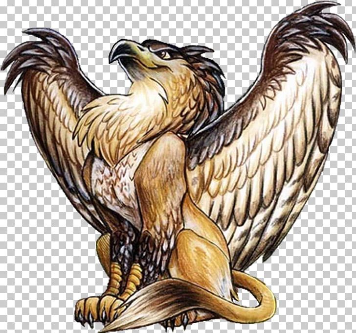 Griffin Lion Legendary Creature Dragon Werewolf PNG, Clipart, Accipitriformes, Bald Eagle, Beak, Bird, Bird Of Prey Free PNG Download