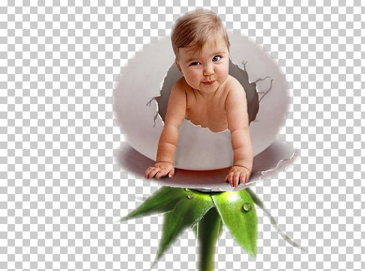 Infant Egg Donation Child Eggshell PNG, Clipart, Babies, Baby, Baby Animals, Baby Announcement, Baby Announcement Card Free PNG Download