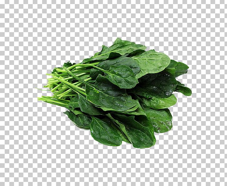 Palak Paneer Spinach Vegetable Lasagne PNG, Clipart, 5 Lb, Bok Choy, Broccoli, Bunch, Capitata Group Free PNG Download