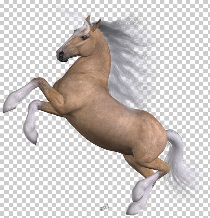 Mane Mustang Foal Stallion Colt PNG, Clipart,  Free PNG Download